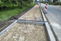 Rybitwy_19.05.2026_1