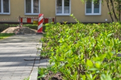 Rydla_Krzywy-Zaulek_04.2026-33