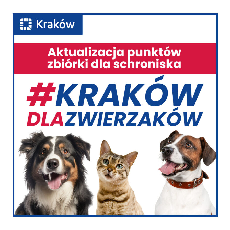 Zdjęcie #KrakówDlaZwierzaków – aktualne miejsca zbiórek