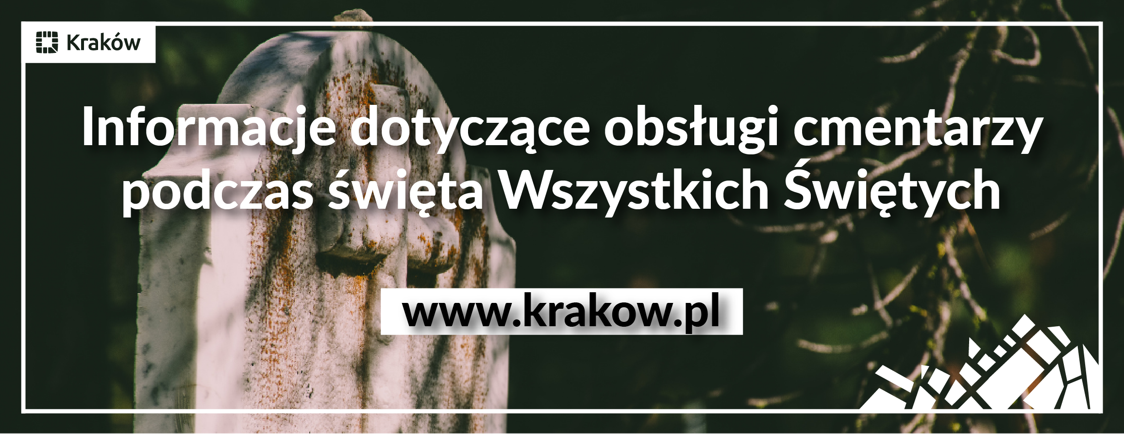 Baner na stronie głównej